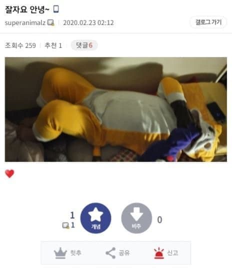 동물잠옷 갤러리 3.jpg