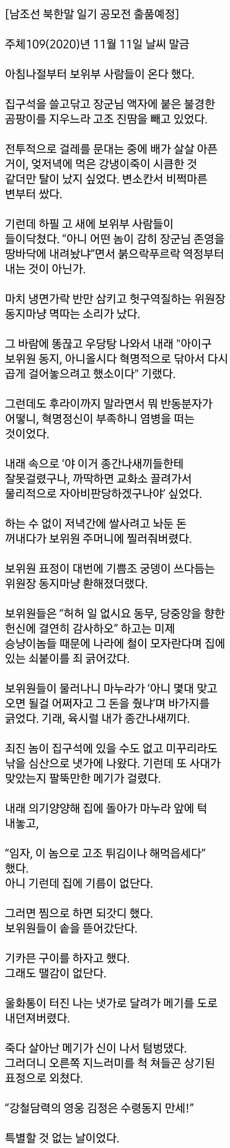 북한말 일기 공모전 출품작.jpeg