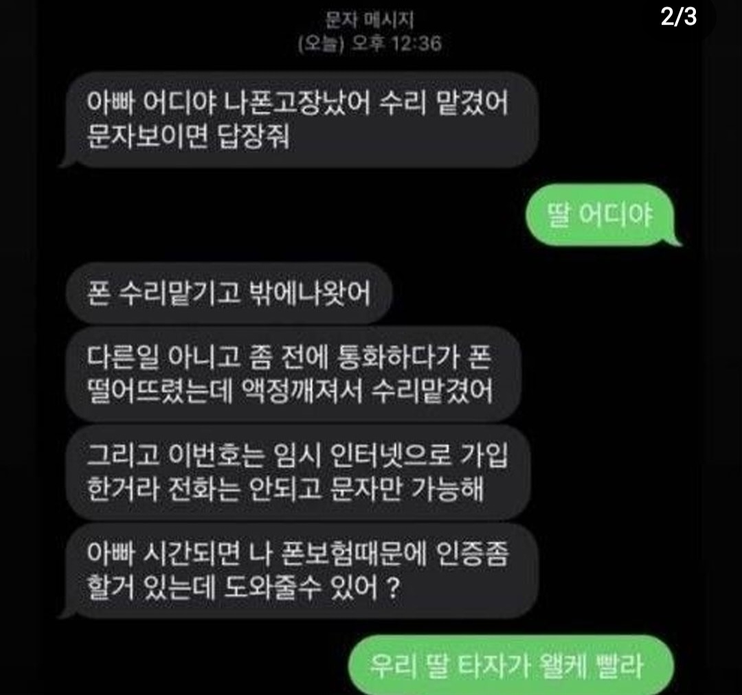 빨라도 너무 빠른 내딸