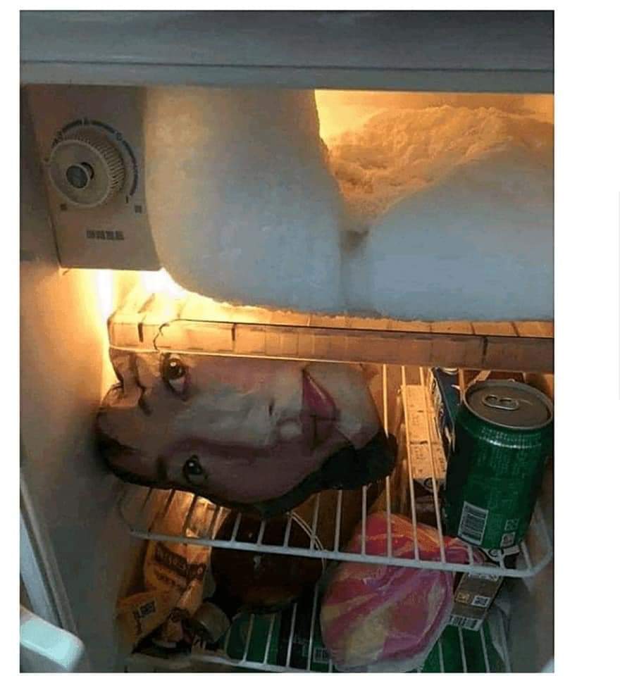 фото голая в холодильнике фото 56